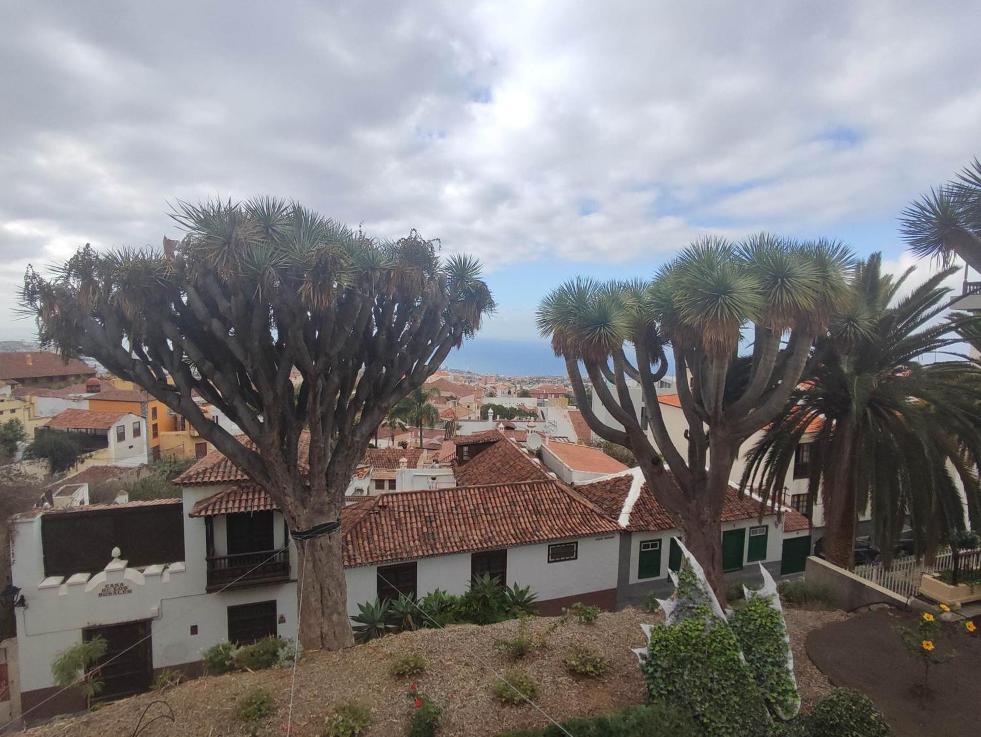 Casa Ruth Centro Orotava Apartman La Orotava Szoba fotó